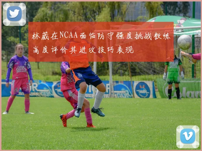 林葳在NCAA面临防守强度挑战教练高度评价其进攻技巧表现