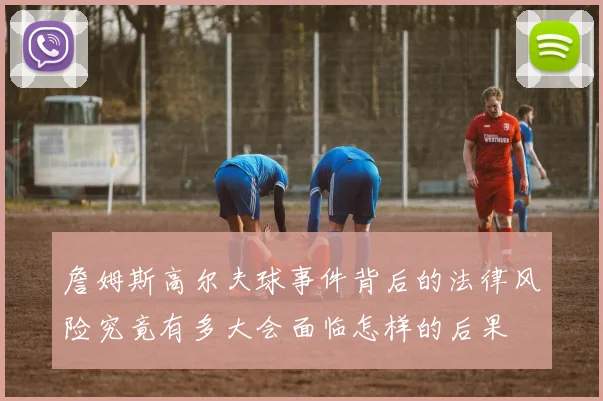 詹姆斯高尔夫球事件背后的法律风险究竟有多大会面临怎样的后果